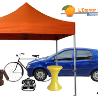 Visuel puces grandv3